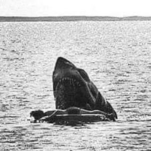 Meet your Posher, Sandra lee